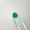 Tsavorite Garnet xanh lục