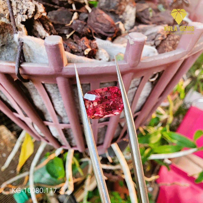 Sapphire Đỏ Tự Nhiên KG-10080.117